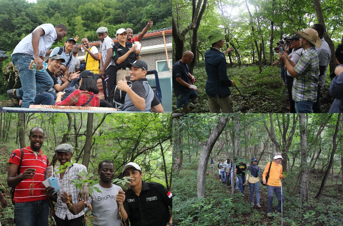 Field Study Forest Ecology & Forest and Short-term