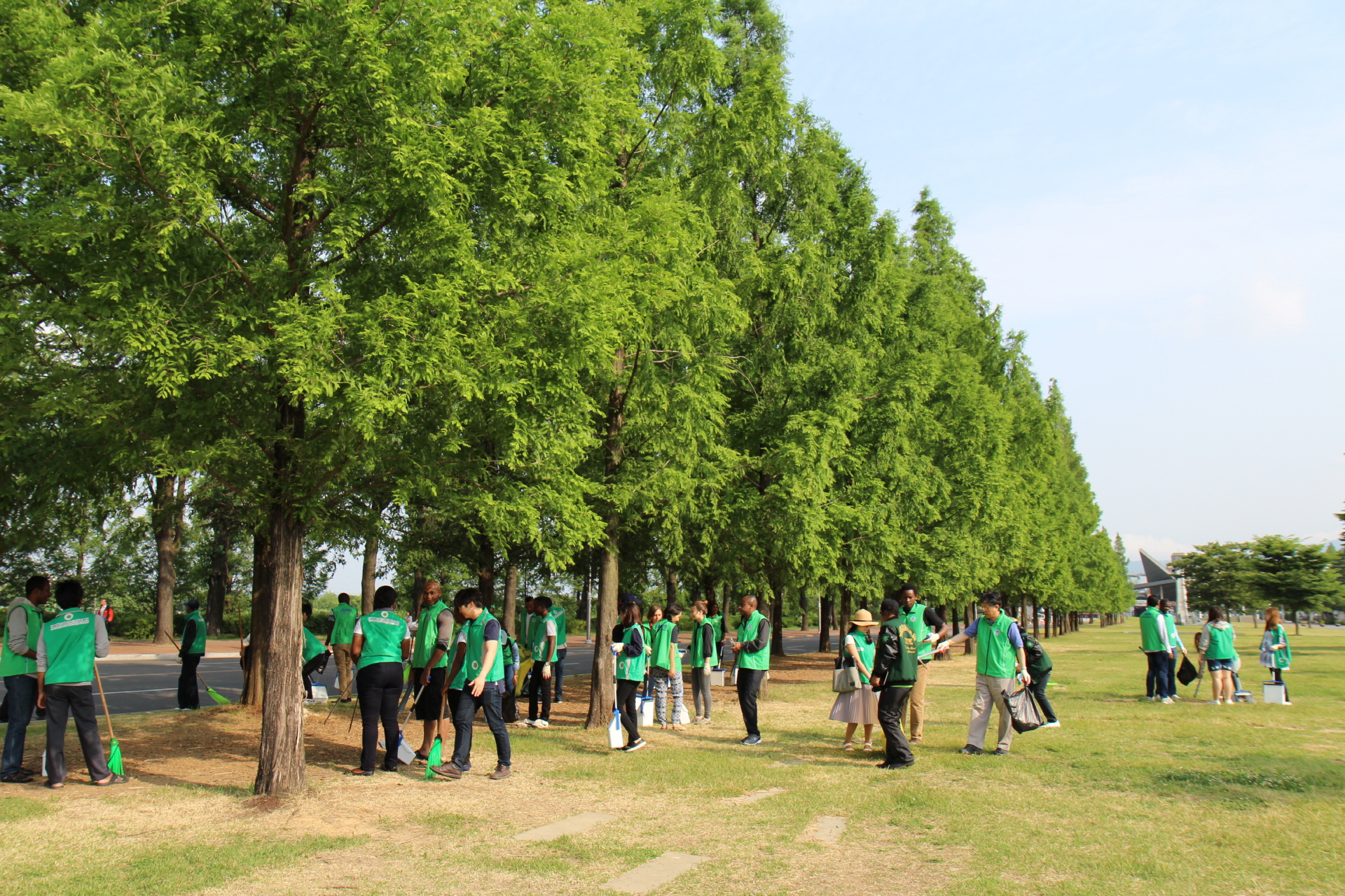 Saemaul Monthly Cleaning Campaign (June 2016)